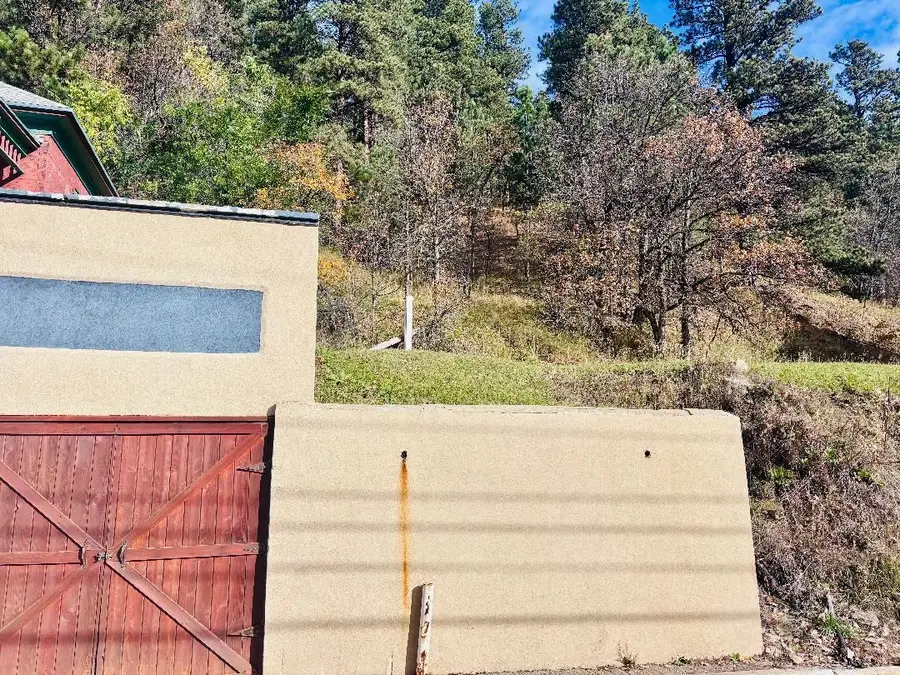 62 Denver Avenue, Deadwood, SD 57732 - #3