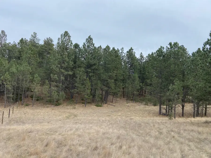 TBD Sundance Drive, Hot Springs, SD 57747 - #2