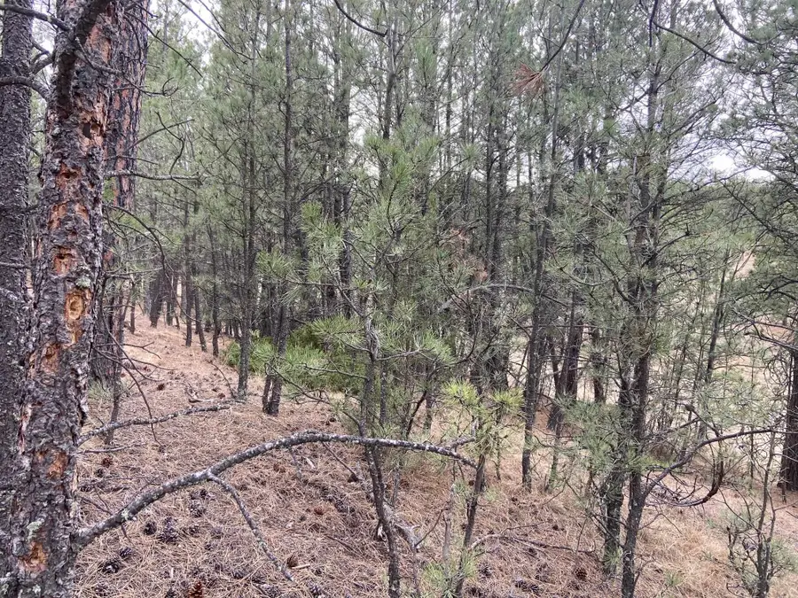 TBD Sundance Drive, Hot Springs, SD 57747 - #3