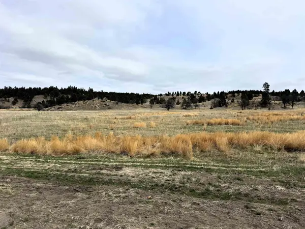 Tract 2, Oshoto, WY 82721