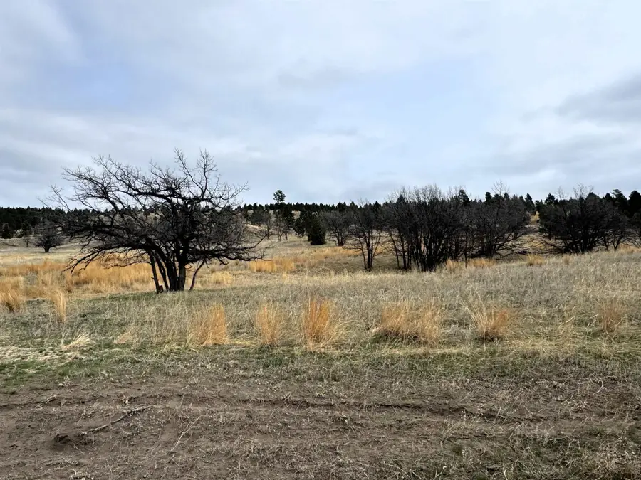 Tract 2, Oshoto, WY 82721 - #3
