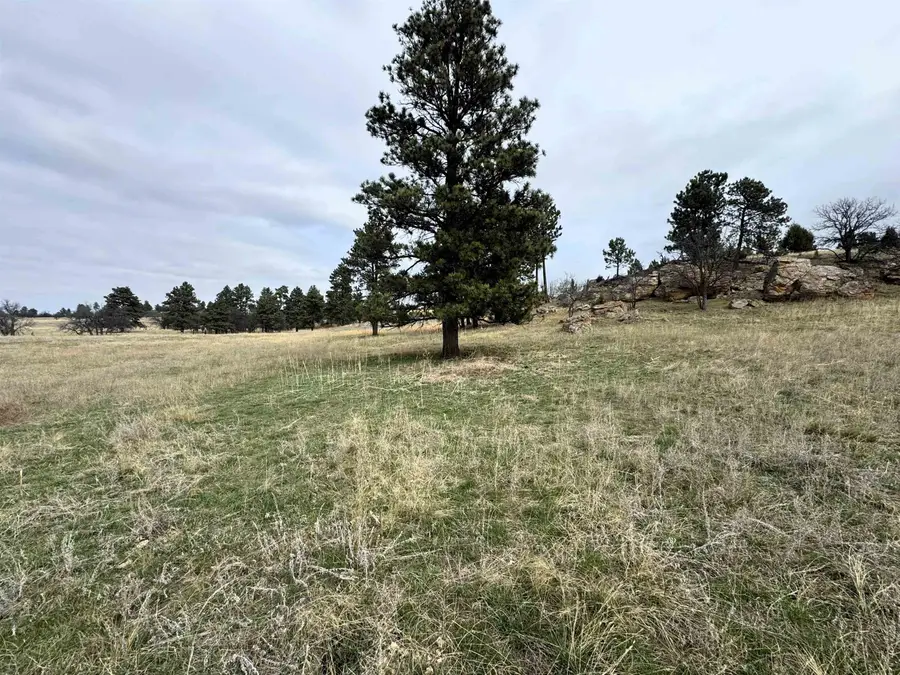 Tract 4, Oshoto, WY 82721 - #3