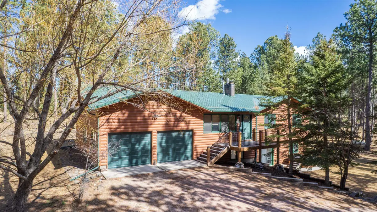 24988 Delicate Drive, Custer, SD 57730 - #1