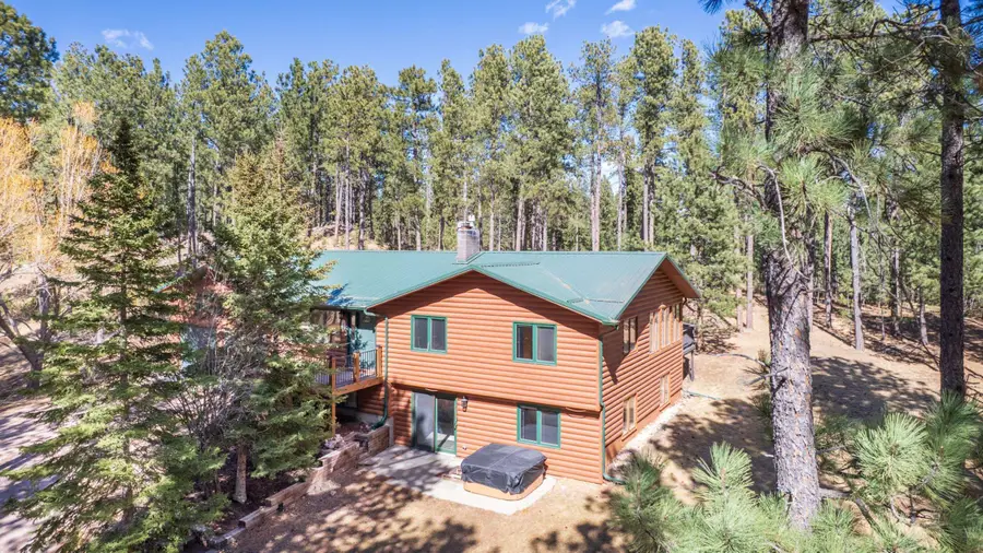 24988 Delicate Drive, Custer, SD 57730 - #2