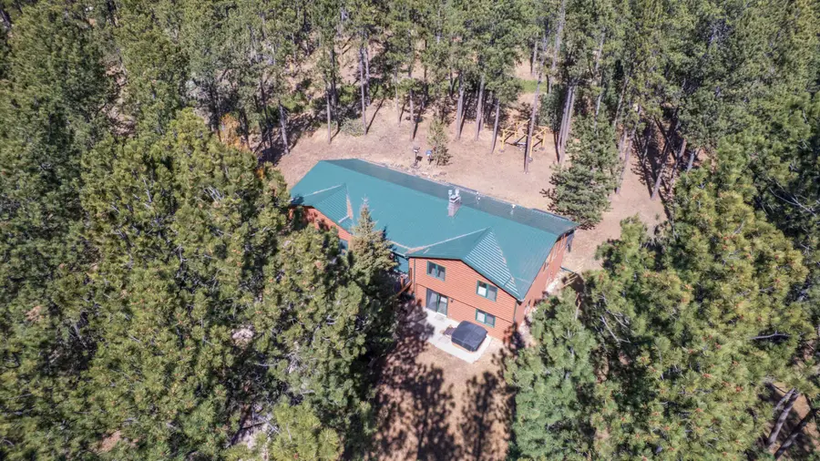 24988 Delicate Drive, Custer, SD 57730 - #3