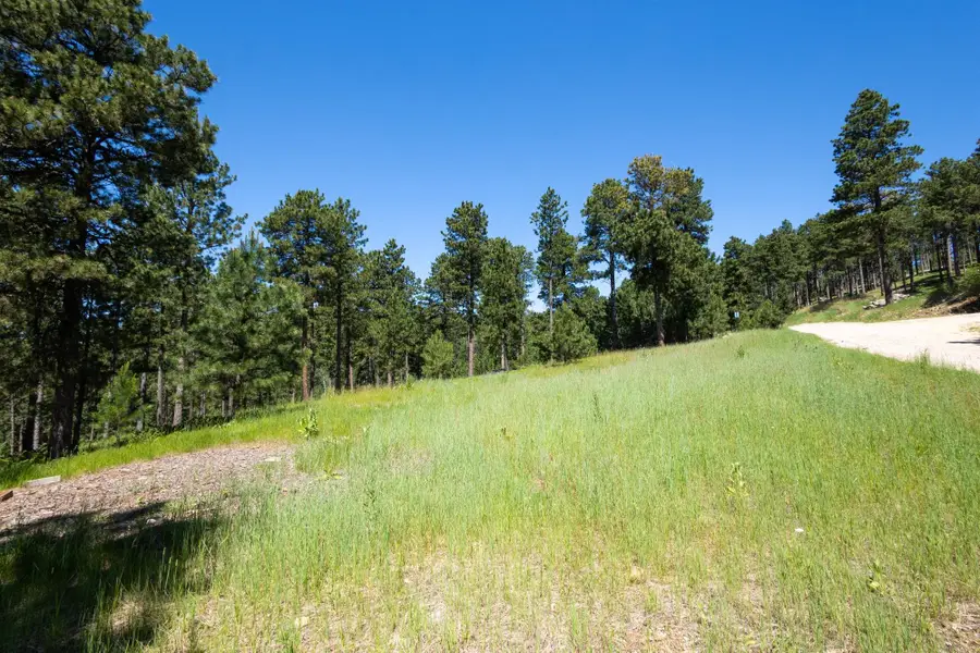 Lot 16 Cuba Street, Deadwood, SD 57732 - #3