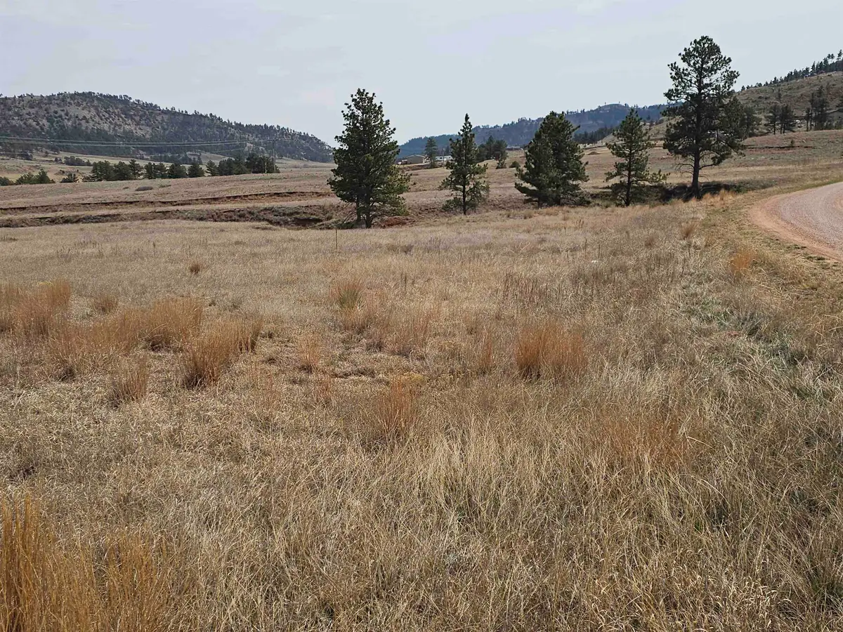 Lot 3B Sheps Heights Road, Hot Springs, SD 57747 - #1