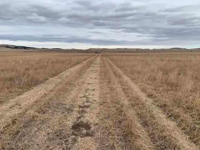 TBD Big Meadow Drive, Hermosa, SD 57744 - #1