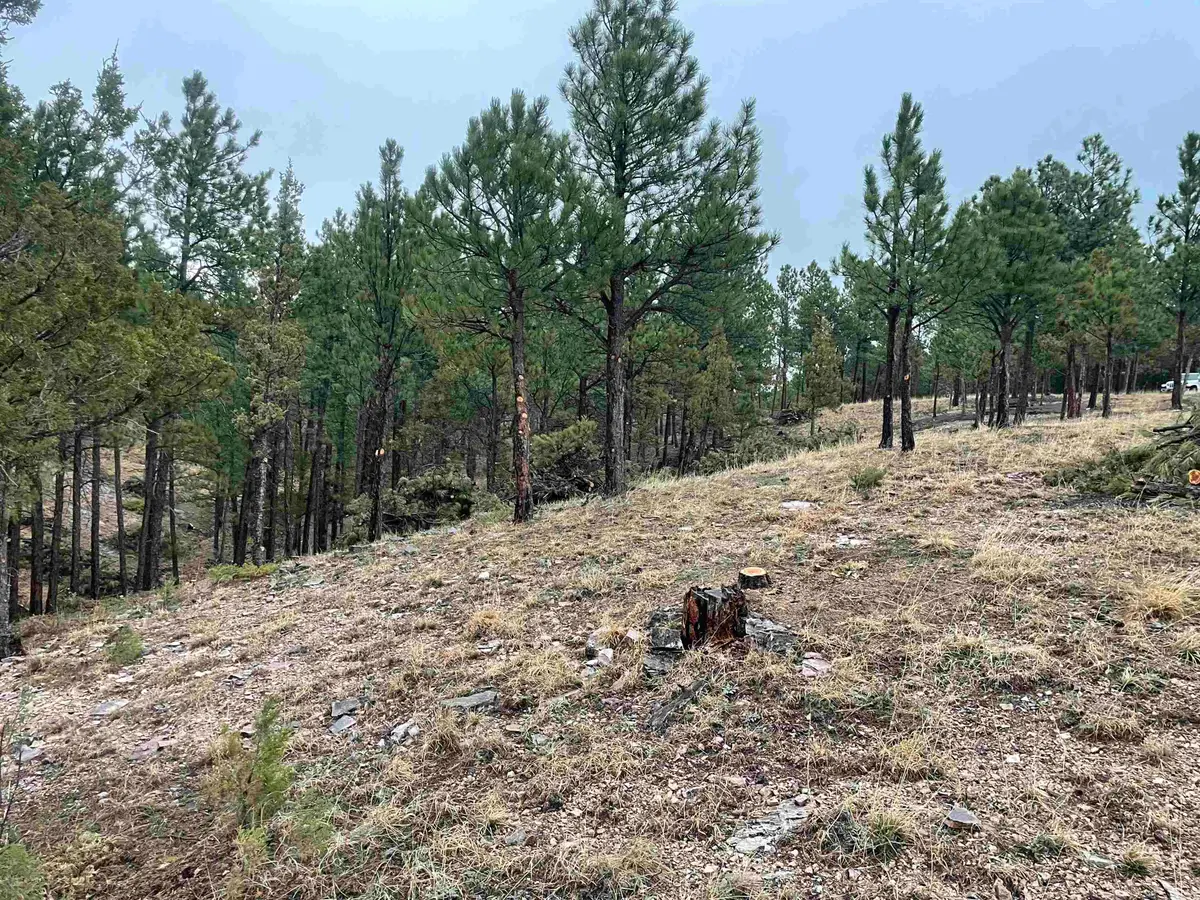 11562 Red Canyon Road, Custer, SD 57730 - #1