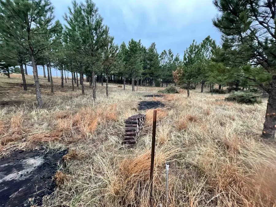 11562 Red Canyon Road, Custer, SD 57730 - #3