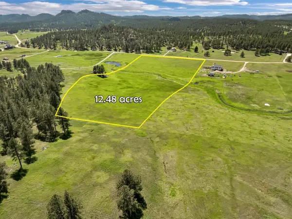 TBD Lot 3 Pleasant Valley Road, Custer, SD 57730