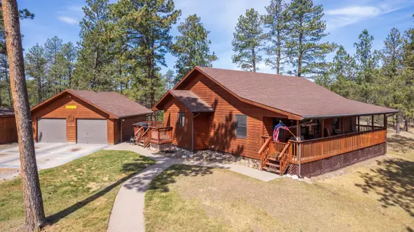 25333 Beaver Lake Road, Custer, SD 57730