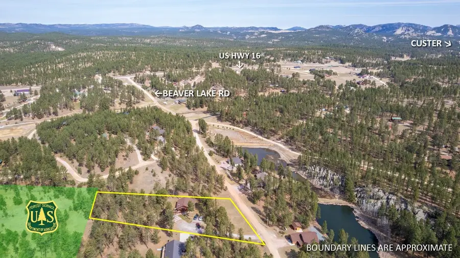 25333 Beaver Lake Road, Custer, SD 57730 - #3