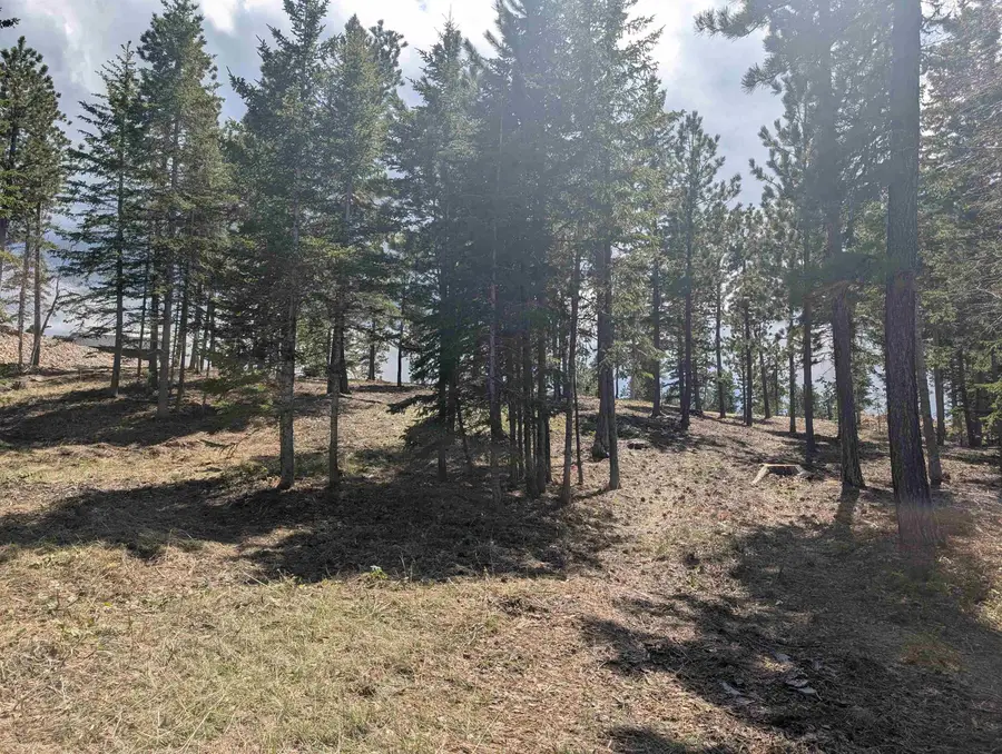Lot 14 Block 5 Overlook Court, Lead, SD 57754 - #2