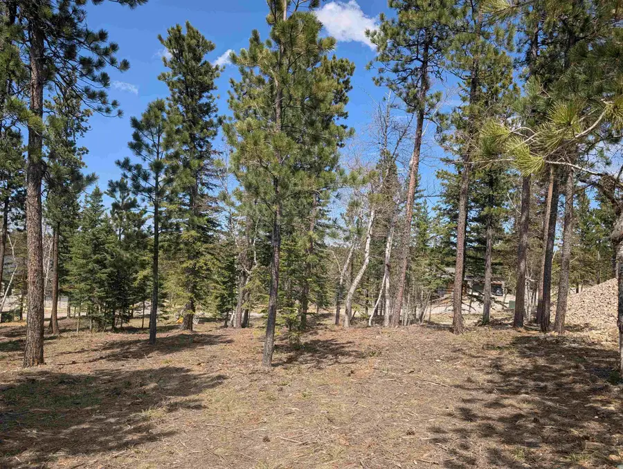 Lot 14 Block 5 Overlook Court, Lead, SD 57754 - #3