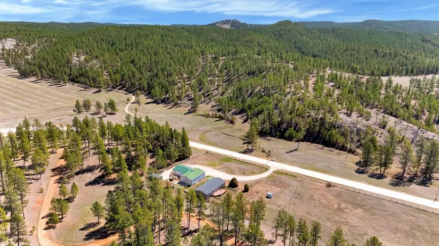 11666 Pleasant Valley Road, Custer, SD 57730 - #3