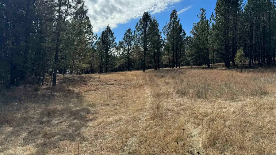 TBD Hart Road, Hot Springs, SD 57747 - #3