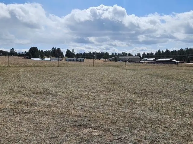 TBD Sidney Park Road, Custer, SD 57730 - #2