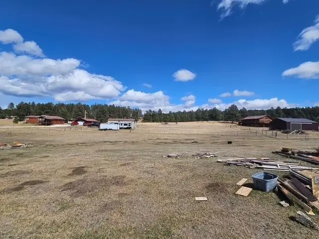 TBD Sidney Park Road, Custer, SD 57730 - #3