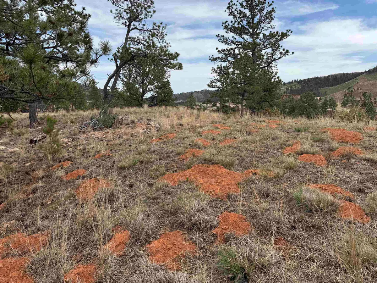 12707 Stardust Pass, Hot Springs, SD 57747 - #1