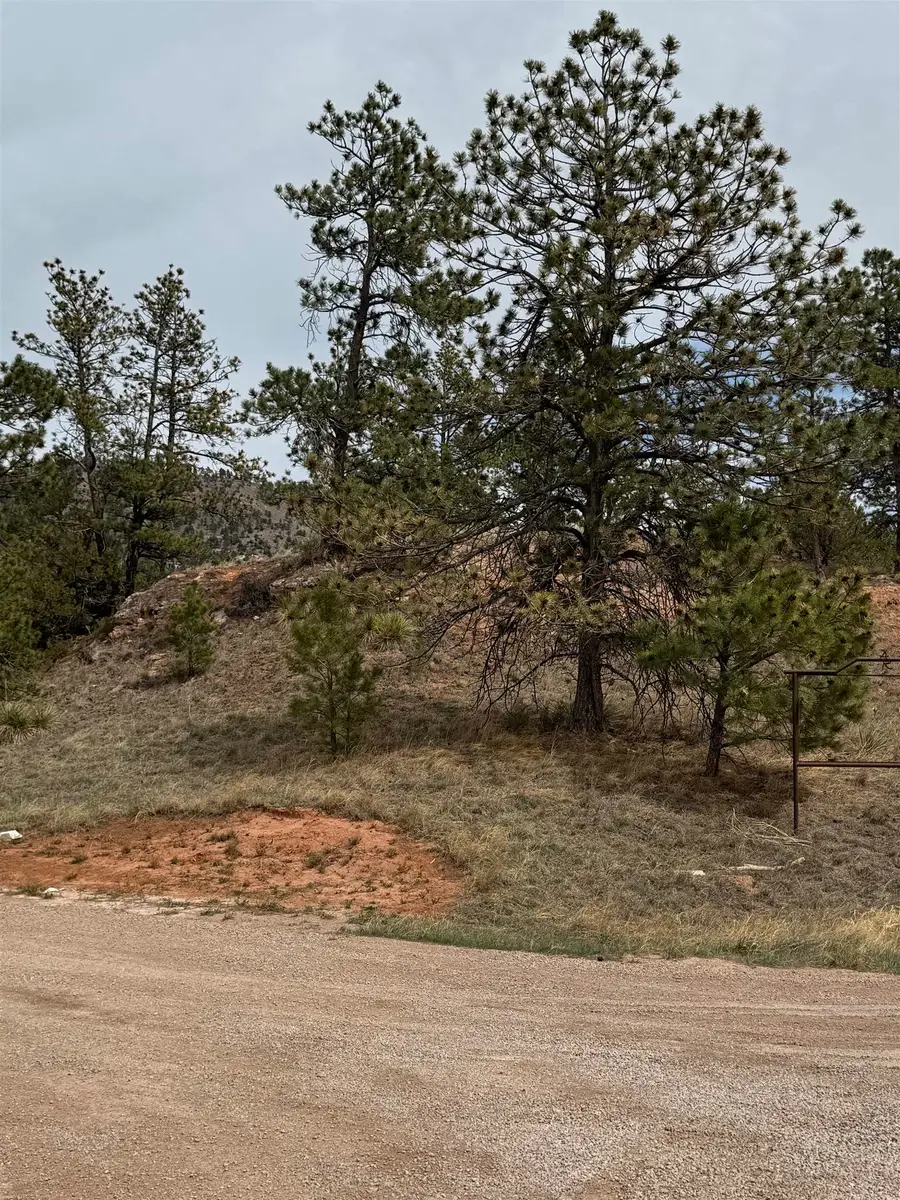 12707 Stardust Pass, Hot Springs, SD 57747 - #3