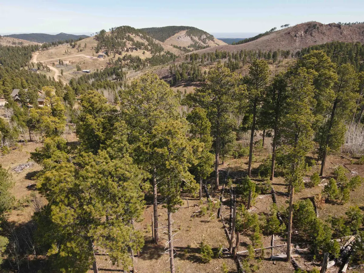TBD Noble Grand Court, Deadwood, SD 57732 - #1