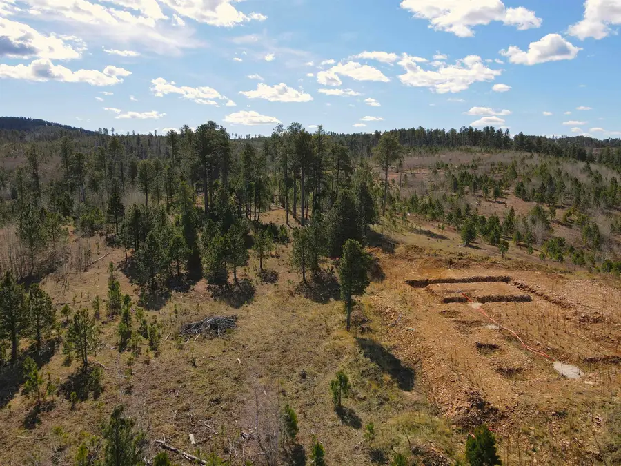 TBD Noble Grand Court, Deadwood, SD 57732 - #2