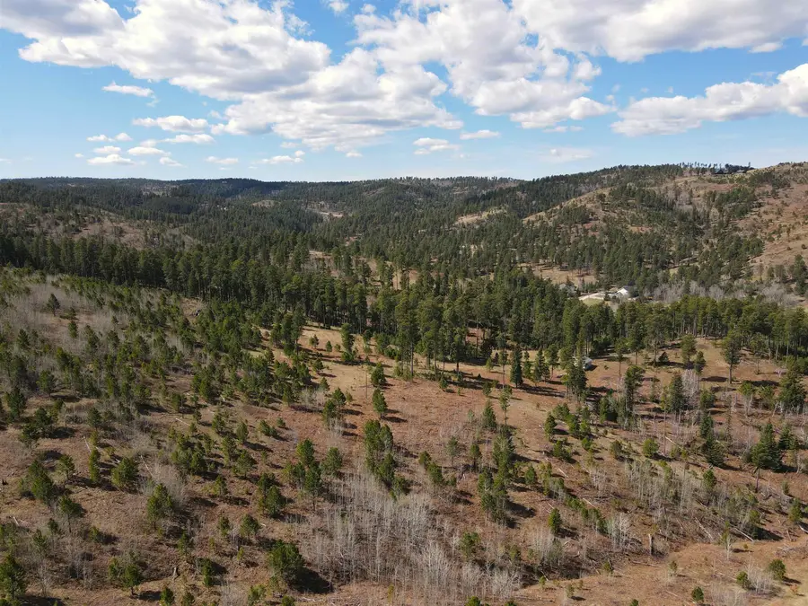 TBD Noble Grand Court, Deadwood, SD 57732 - #3