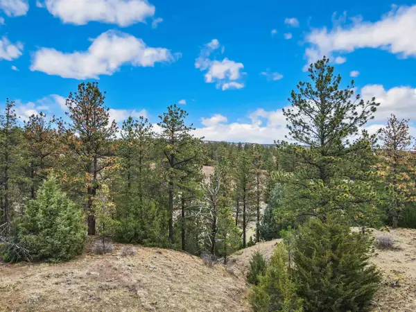 Lot 6 Lake Hills Rd, Hot Springs, SD 57747