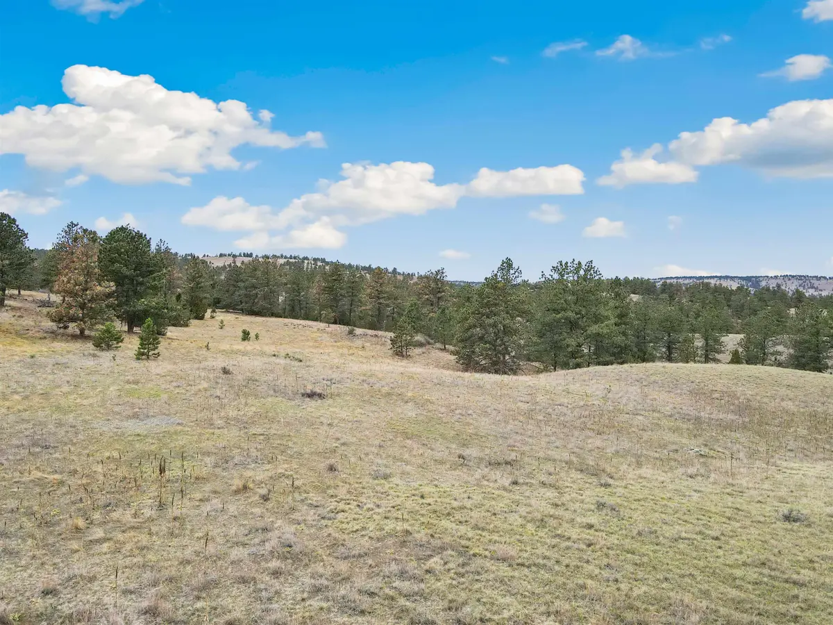 Lot 9 Lake Hills Rd, Hot Springs, SD 57747 - #1