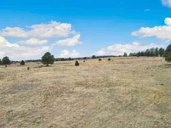 Lot 15 Lake Hills Rd, Hot Springs, SD 57747