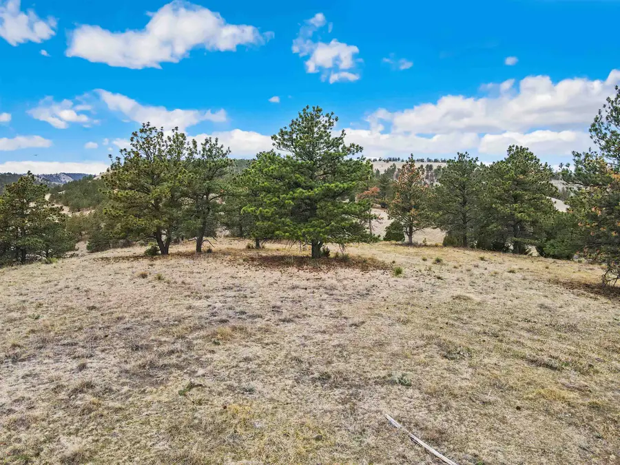 Lot 20 Lake Hills Rd, Hot Springs, SD 57747 - #3