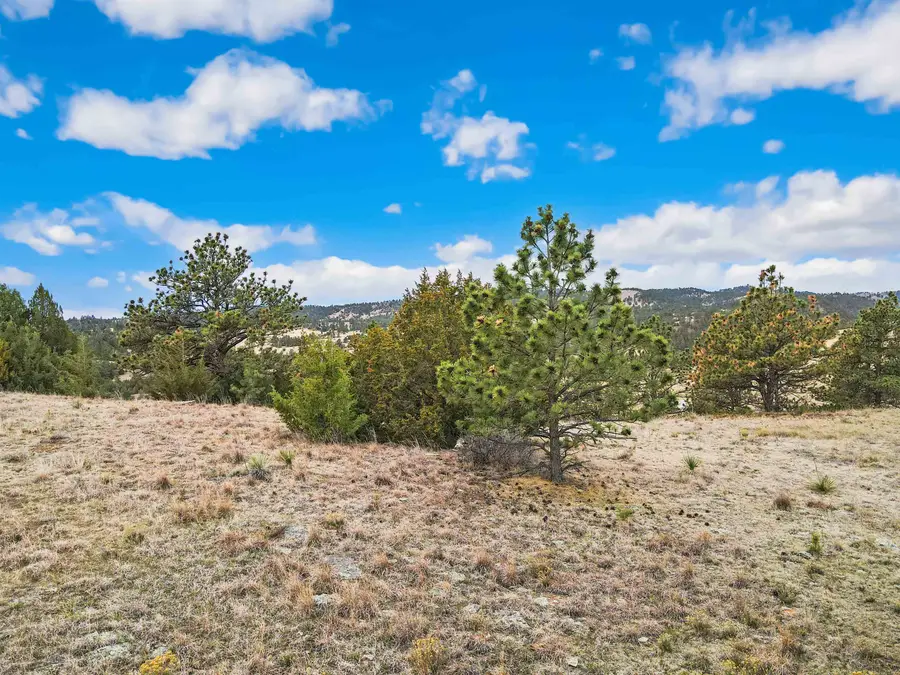 Lot 22 Lake Hills Rd, Hot Springs, SD 57747 - #3