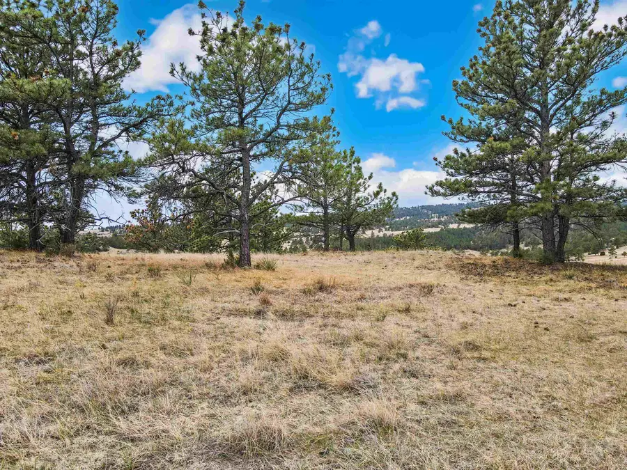 Lot 24 Lake Hills Rd, Hot Springs, SD 57747 - #3