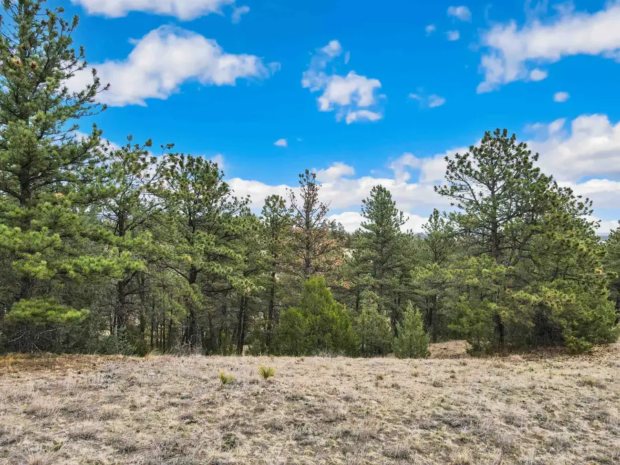 Lot 26 Lake Hills Rd, Hot Springs, SD 57747 - #3