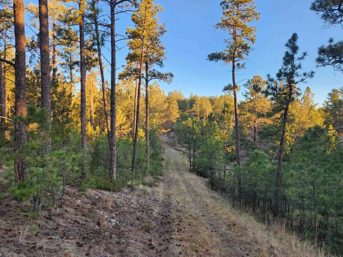 27317 Flagstone Road, Hot Springs, SD 57747 - #1