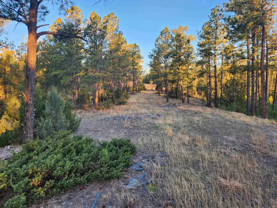 27317 Flagstone Road, Hot Springs, SD 57747 - #3