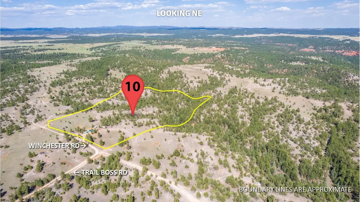 26666 Winchester Road, Custer, SD 57730 - #1