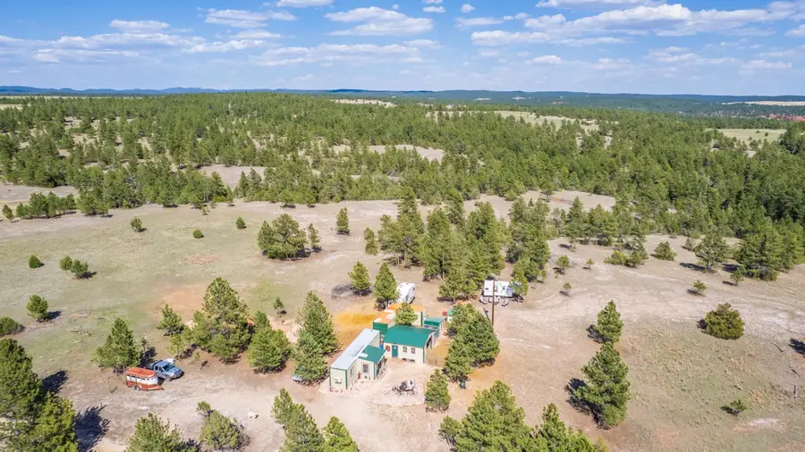 26666 Winchester Road, Custer, SD 57730 - #3