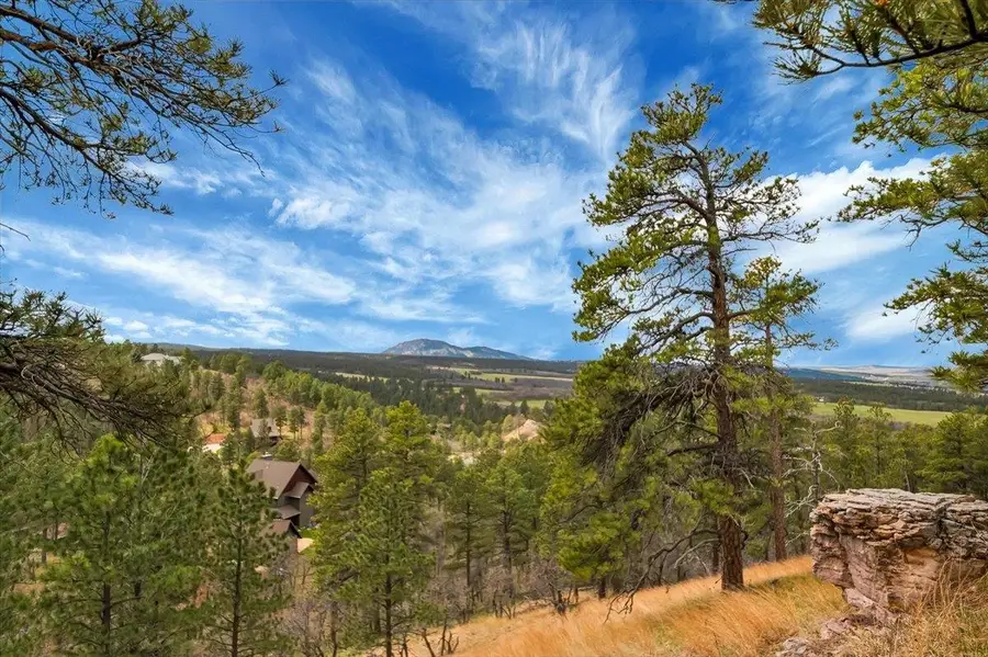 313 Oak Ridge Road, Spearfish, SD 57783 - #3