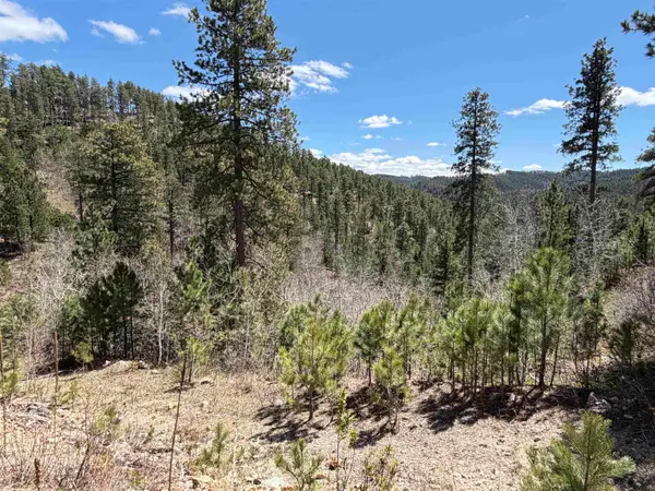 TBD Aspen Creek Dr, Lead, SD 57754