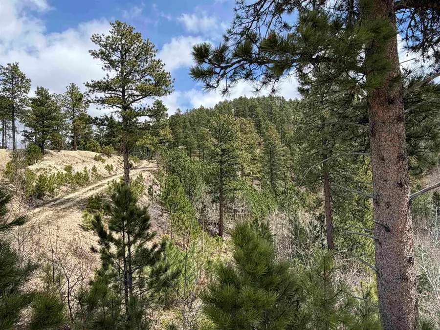 TBD Aspen Creek Dr, Lead, SD 57754 - #2