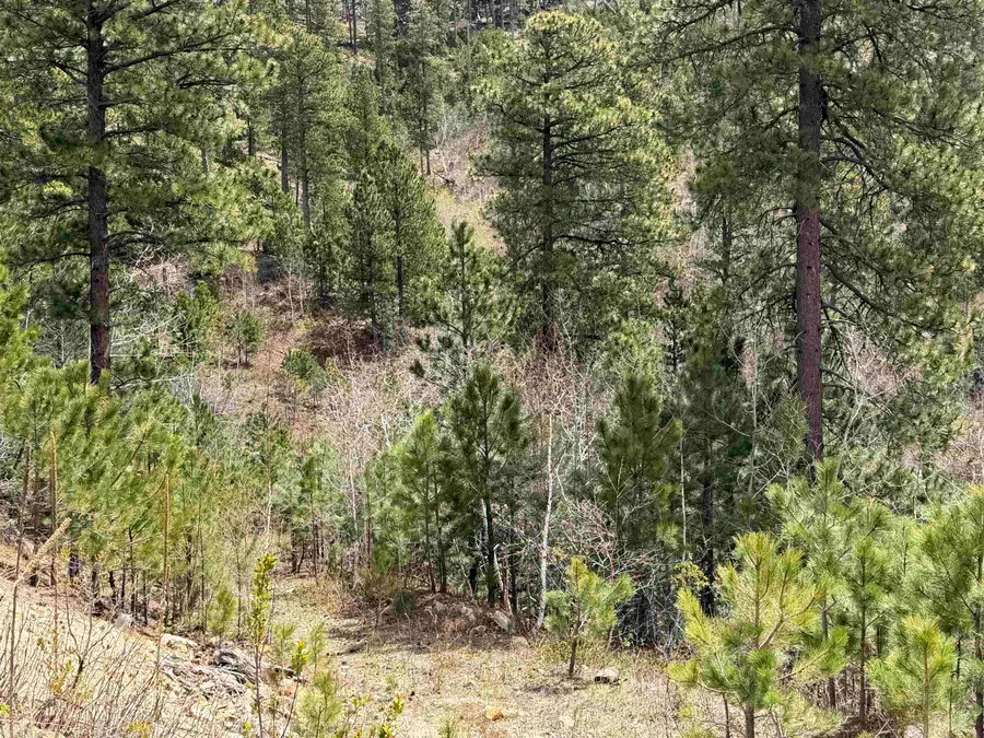 TBD Aspen Creek Dr, Lead, SD 57754 - #3