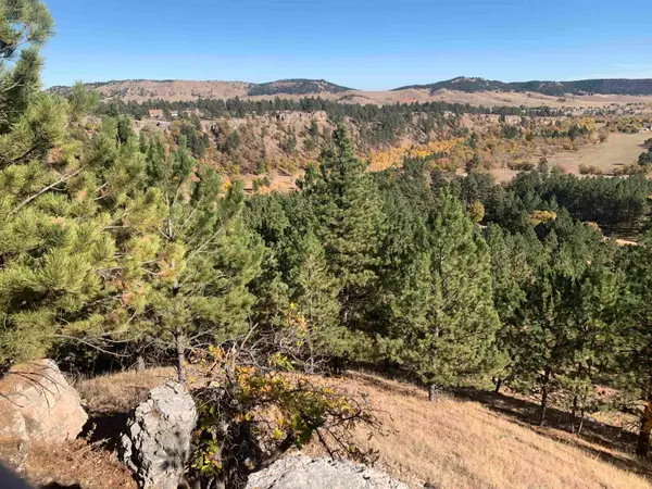 13038 Lance Lane, Piedmont, SD 57769