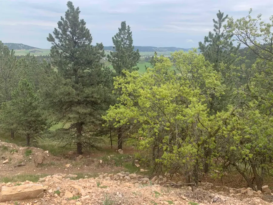 13038 Lance Lane, Piedmont, SD 57769 - #3