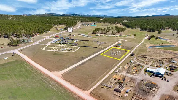 TBD Lot 12 Pleasant Valley Road, Custer, SD 57730