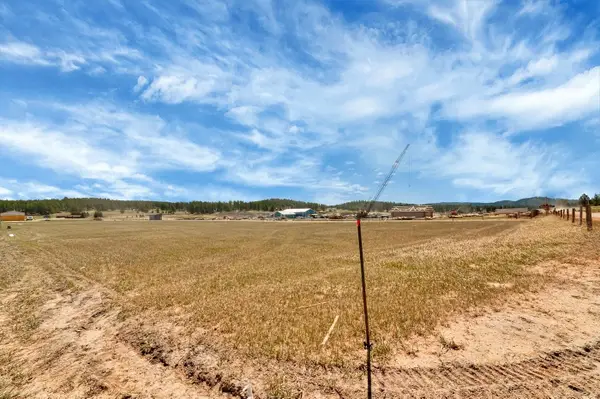TBD Lot 14 Pleasant Valley Road, Custer, SD 57730
