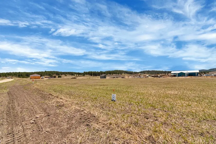 TBD Lot 13 Pleasant Valley Road, Custer, SD 57730 - #3