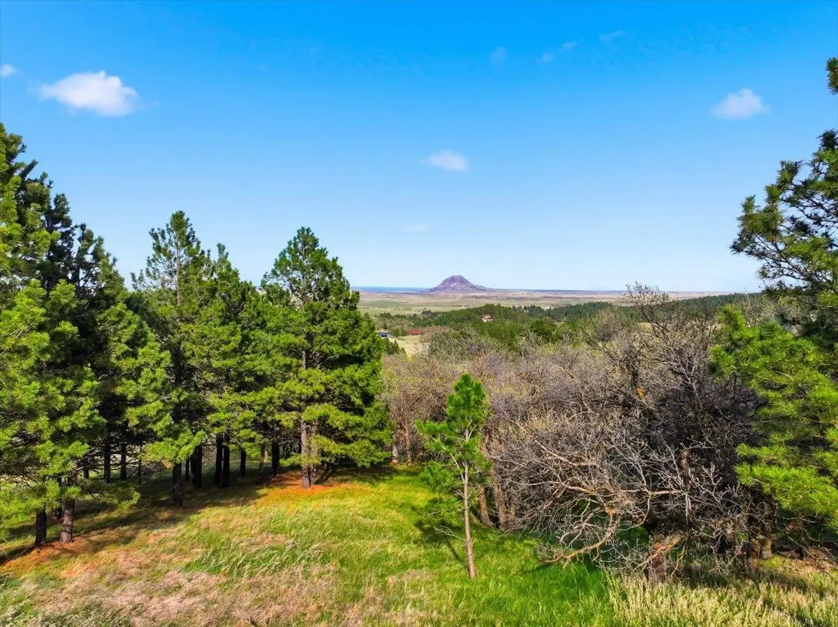 Lot 7 Prairie View Loop, Whitewood, SD 57793 - #1