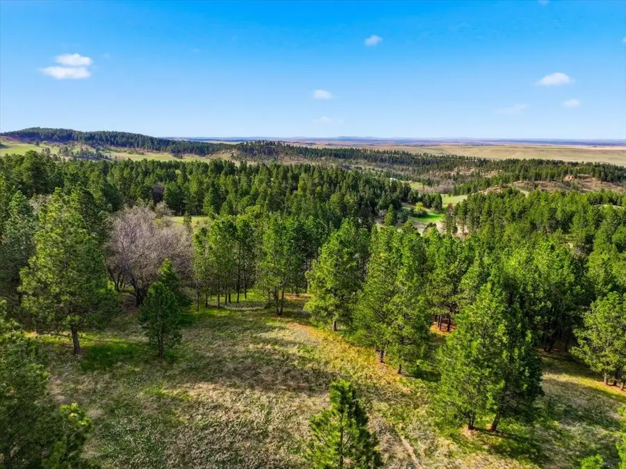 Lot 7 Prairie View Loop, Whitewood, SD 57793 - #2